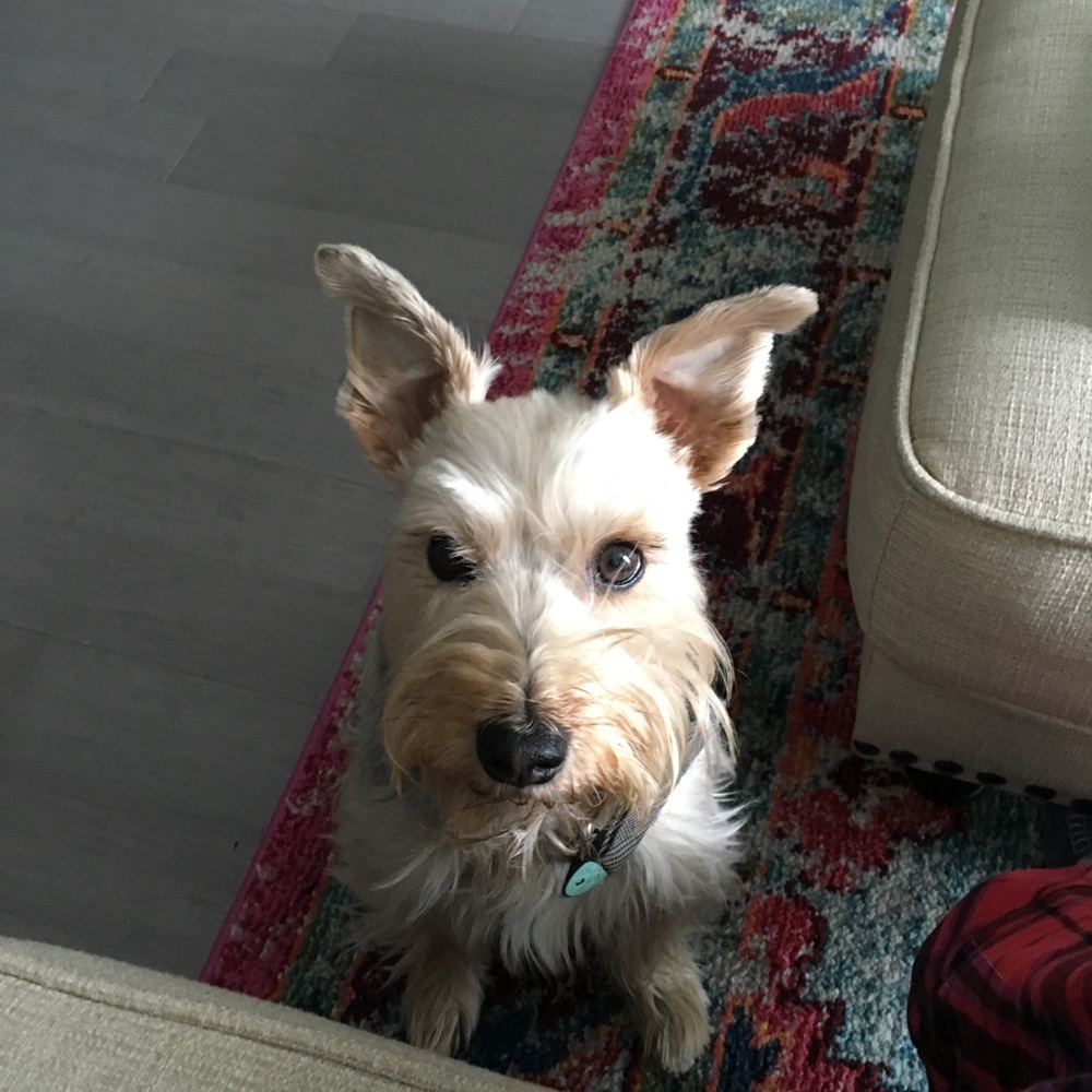 Meet your Posher, Kyung